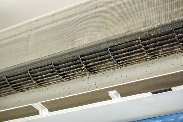 Best HVAC Duct Inspection Services  in Fishersville, VA